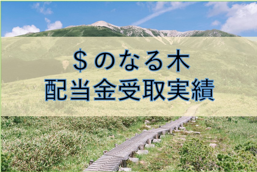 毎月の配当推移です
