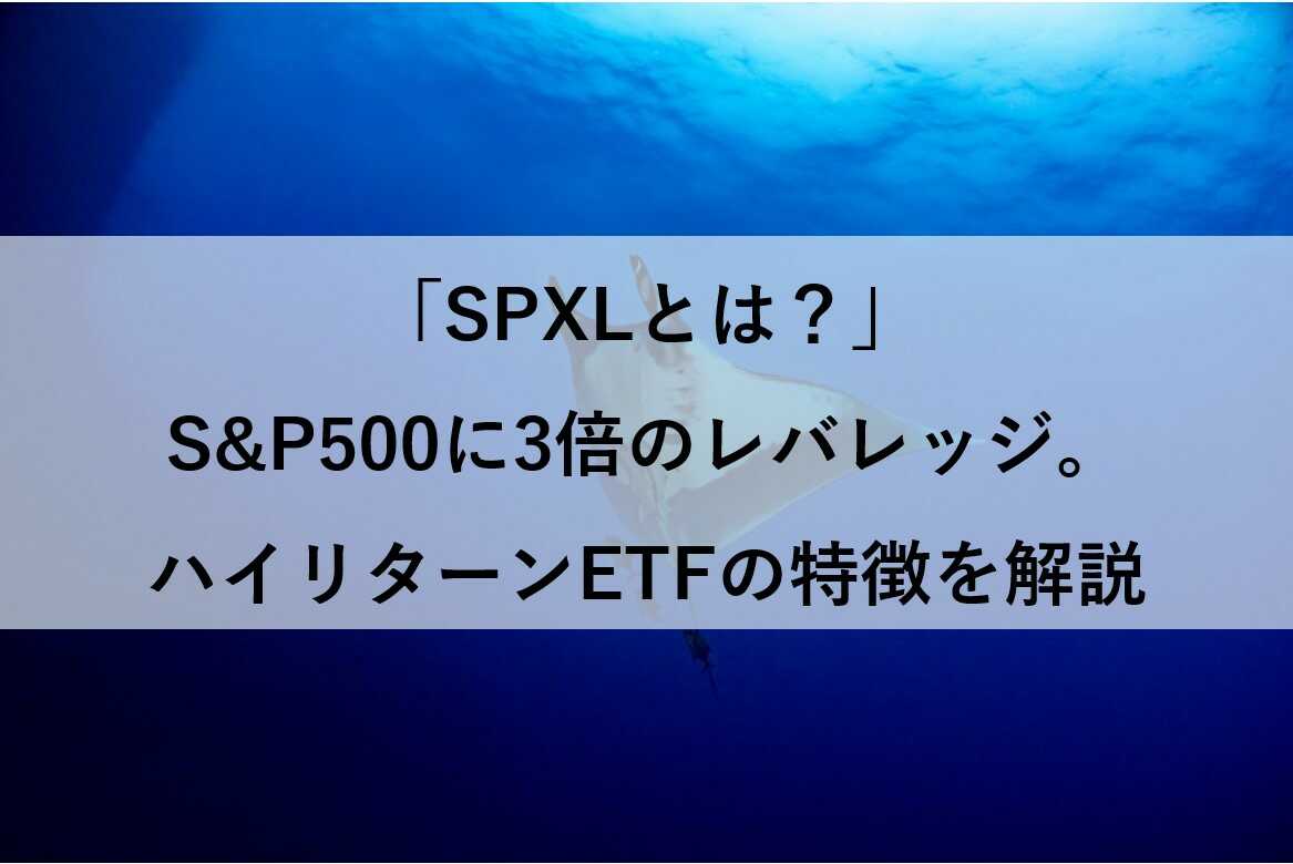 SPXLとは？S&P500に3倍のレバレッジをかけたハイリターンETFの特徴を解説」 – ＄のなる木